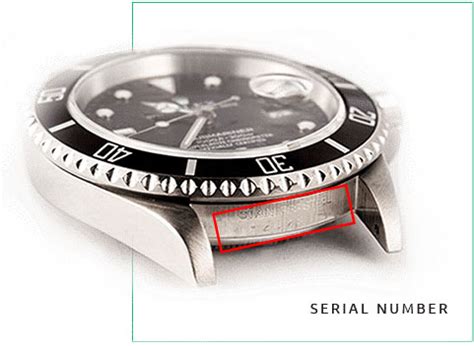 fake 18k rolex serial number location|rolex serial number lookup.